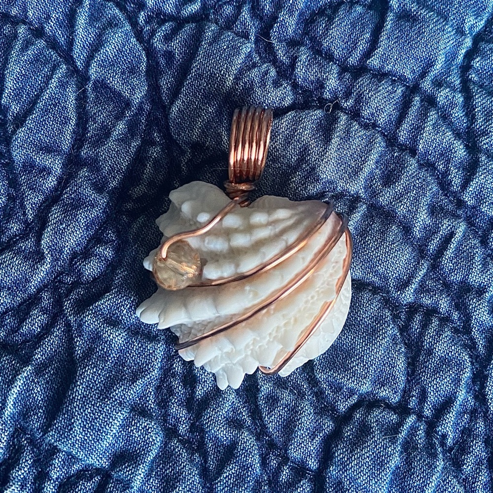 Wire Wrapped Spiny Jewel Box Seashell Pendant